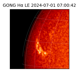 gong - 2024-07-01T07:00:42