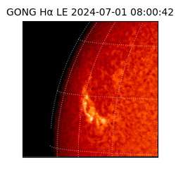 gong - 2024-07-01T08:00:42