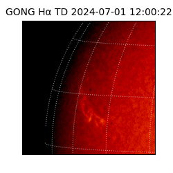 gong - 2024-07-01T12:00:22