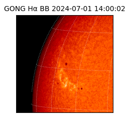 gong - 2024-07-01T14:00:02