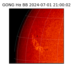 gong - 2024-07-01T21:00:02