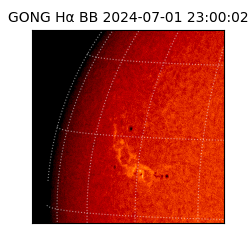 gong - 2024-07-01T23:00:02