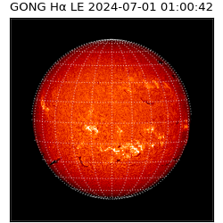 gong - 2024-07-01T01:00:42