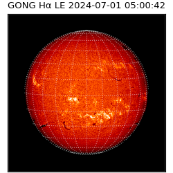 gong - 2024-07-01T05:00:42