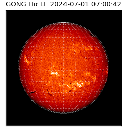 gong - 2024-07-01T07:00:42