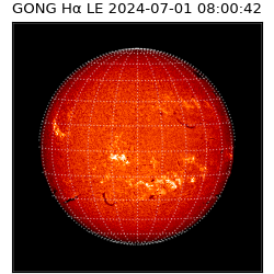 gong - 2024-07-01T08:00:42