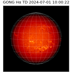 gong - 2024-07-01T10:00:22