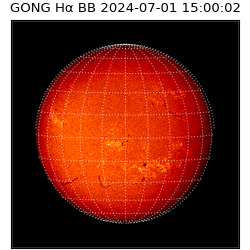 gong - 2024-07-01T15:00:02
