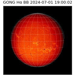 gong - 2024-07-01T19:00:02