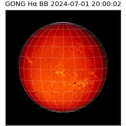 gong - 2024-07-01T20:00:02