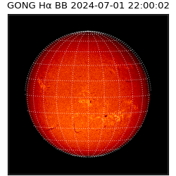 gong - 2024-07-01T22:00:02