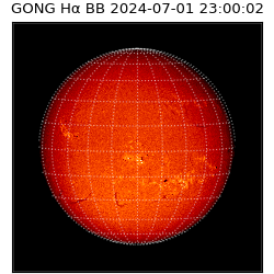 gong - 2024-07-01T23:00:02