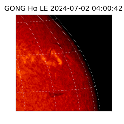 gong - 2024-07-02T04:00:42
