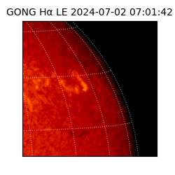 gong - 2024-07-02T07:01:42