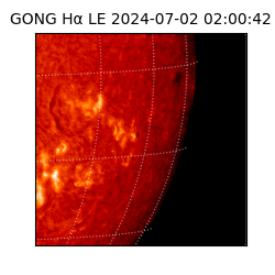 gong - 2024-07-02T02:00:42