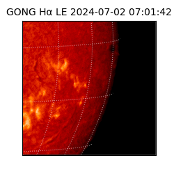 gong - 2024-07-02T07:01:42
