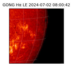gong - 2024-07-02T08:00:42