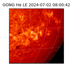 gong - 2024-07-02T08:00:42