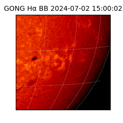 gong - 2024-07-02T15:00:02