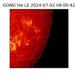 gong - 2024-07-02T08:00:42