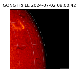 gong - 2024-07-02T08:00:42