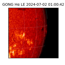 gong - 2024-07-02T01:00:42