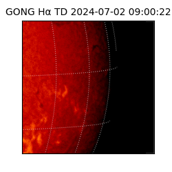 gong - 2024-07-02T09:00:22