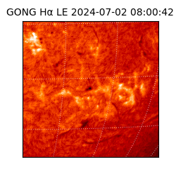 gong - 2024-07-02T08:00:42