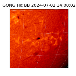 gong - 2024-07-02T14:00:02