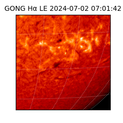 gong - 2024-07-02T07:01:42