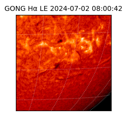 gong - 2024-07-02T08:00:42