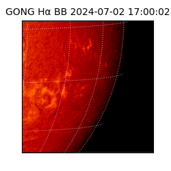 gong - 2024-07-02T17:00:02