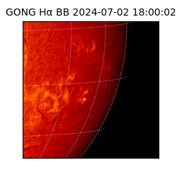 gong - 2024-07-02T18:00:02