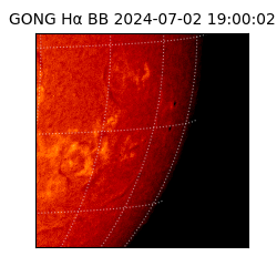 gong - 2024-07-02T19:00:02