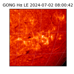 gong - 2024-07-02T08:00:42