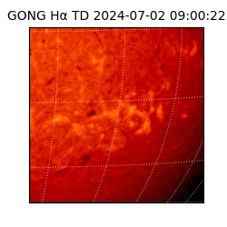 gong - 2024-07-02T09:00:22