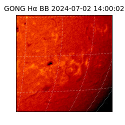 gong - 2024-07-02T14:00:02