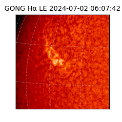 gong - 2024-07-02T06:07:42