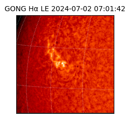 gong - 2024-07-02T07:01:42