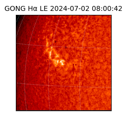 gong - 2024-07-02T08:00:42