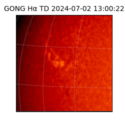 gong - 2024-07-02T13:00:22