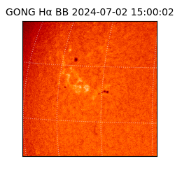 gong - 2024-07-02T15:00:02