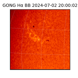 gong - 2024-07-02T20:00:02