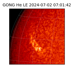 gong - 2024-07-02T07:01:42