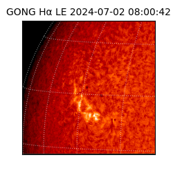 gong - 2024-07-02T08:00:42