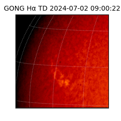 gong - 2024-07-02T09:00:22