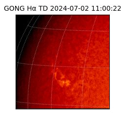 gong - 2024-07-02T11:00:22