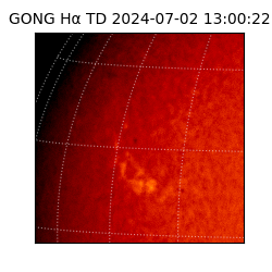 gong - 2024-07-02T13:00:22
