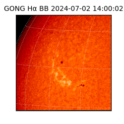 gong - 2024-07-02T14:00:02