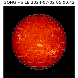 gong - 2024-07-02T05:00:42